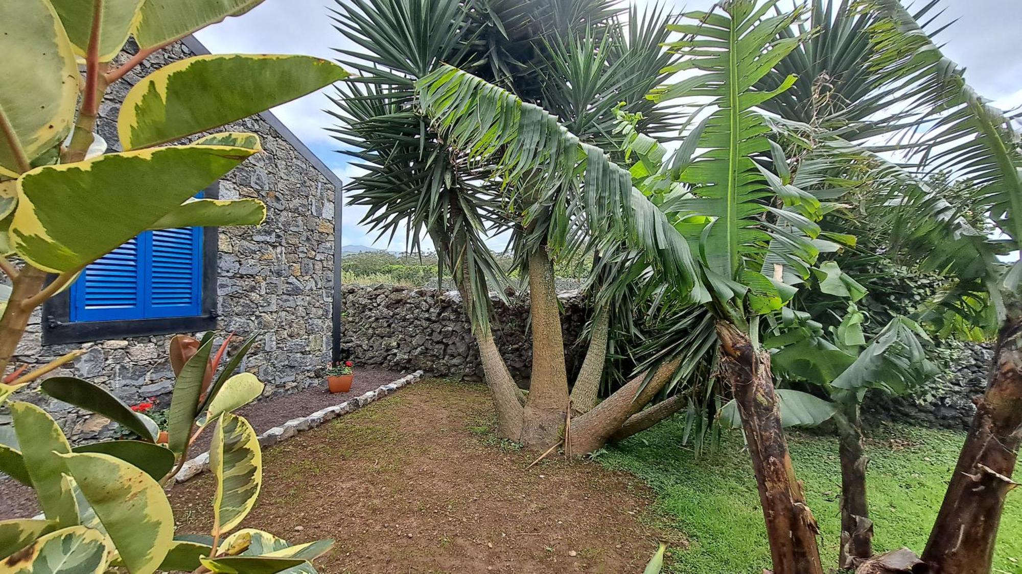 Casa Azul Villa Rabo de Peixe Eksteriør billede